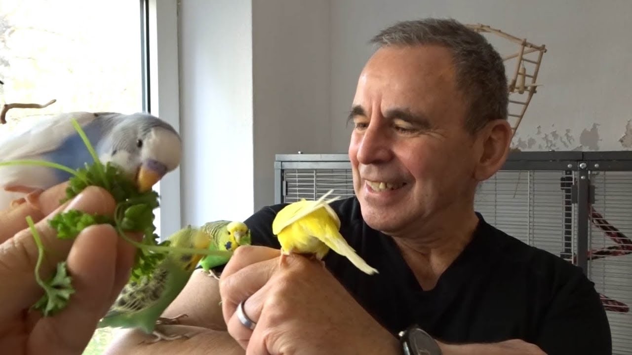 Rolf der Welliflüsterer in action