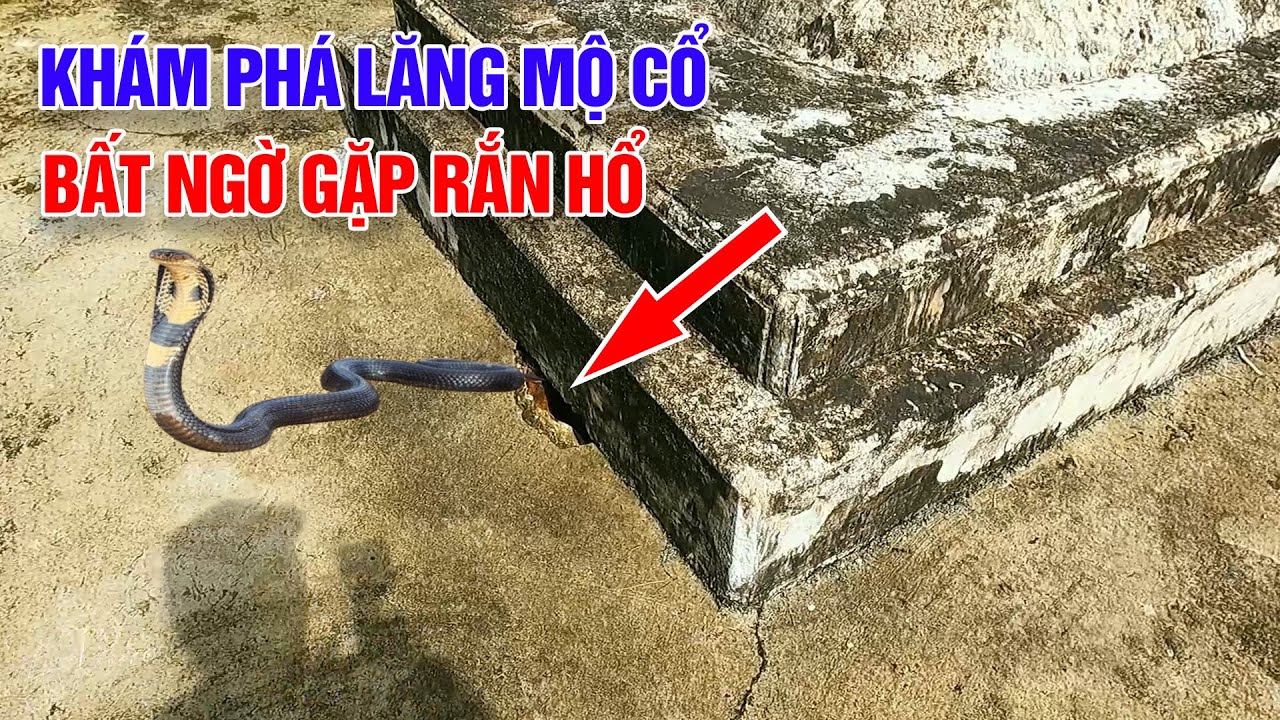 Bất ngờ gặp Rắn hổ khi khám phá lăng mộ cổ Trưởng Công Chúa thời Nguyễn ở Huế