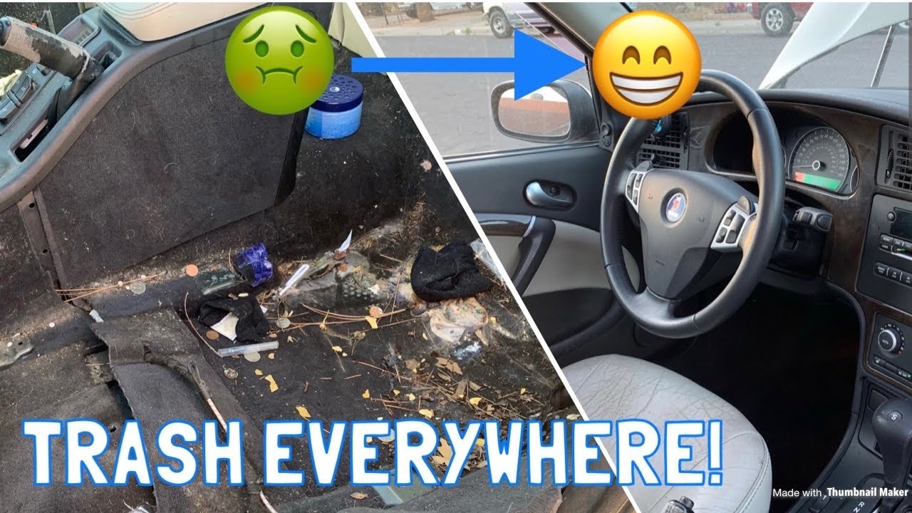 Full Interior Clean and Detail on the Cheap 9-5 - Tons of Mold!