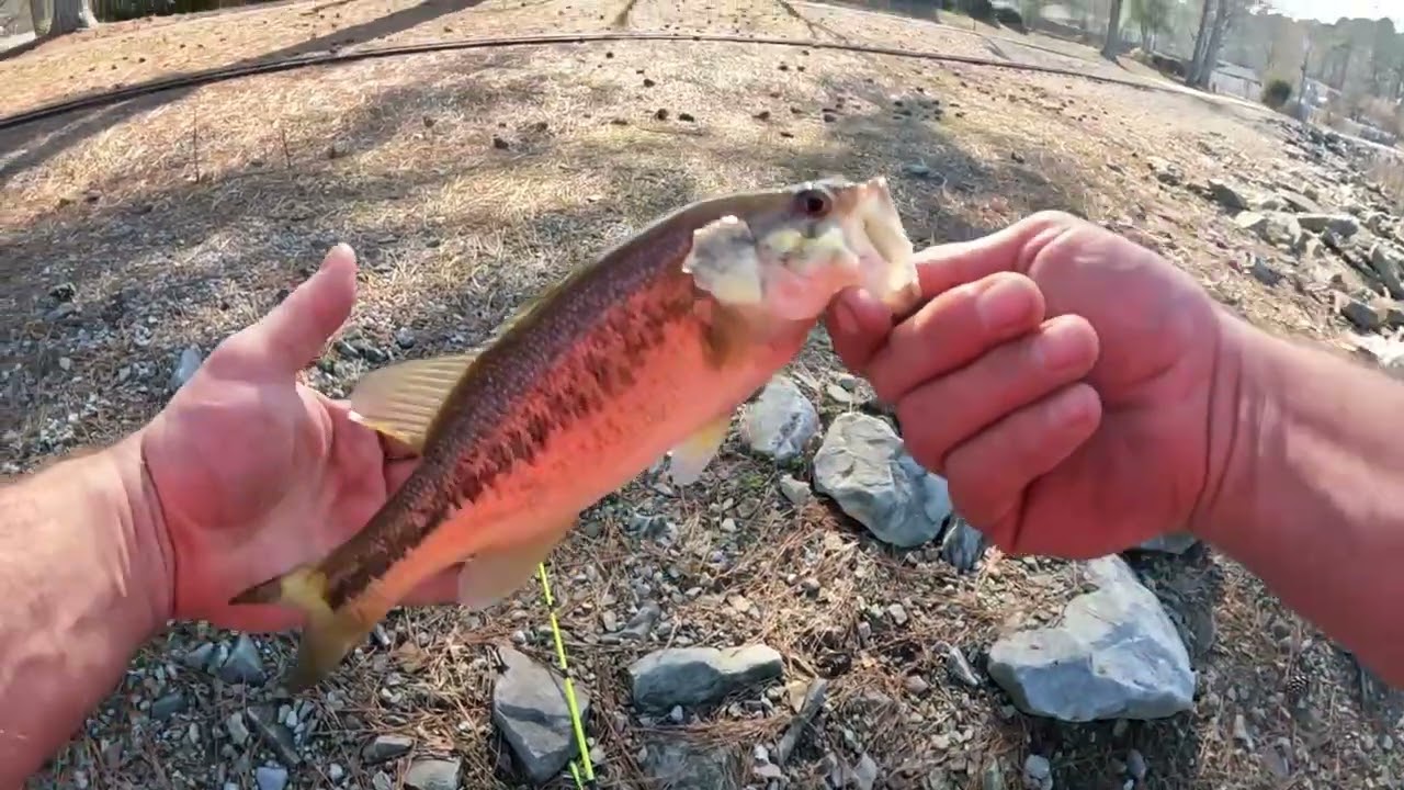 Two Days of Fishing! #bassfishing #fishingfreak #bassfreak #winterfishing #fishing #Godblessingme