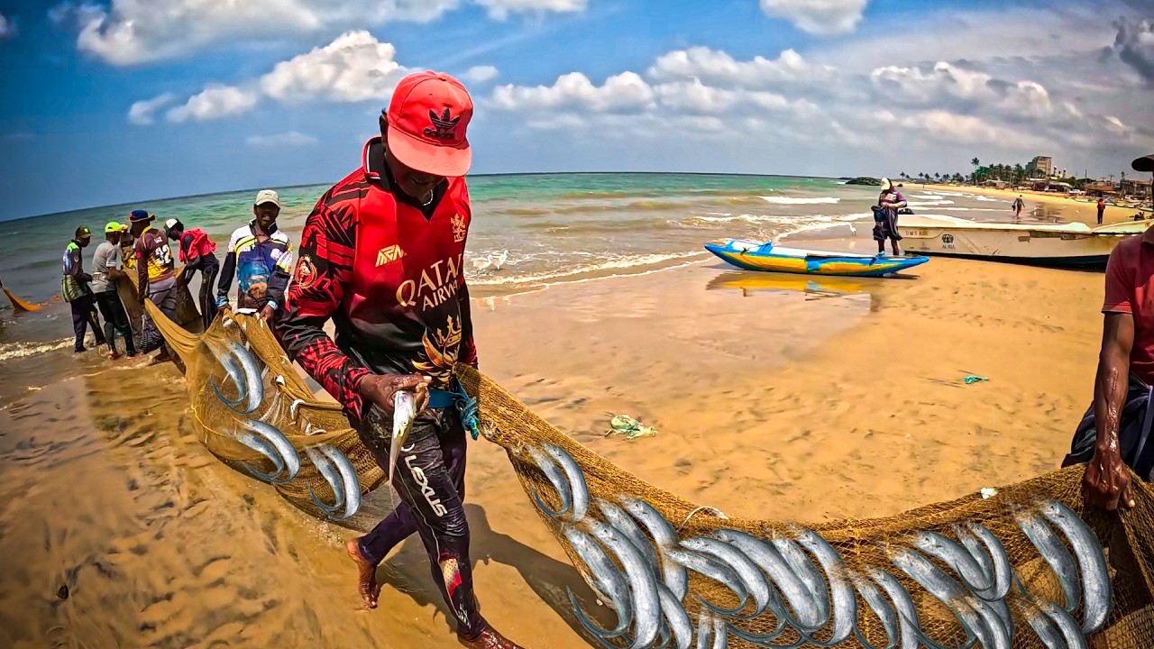 Traditional Seine Netting: The Soul of Negombo