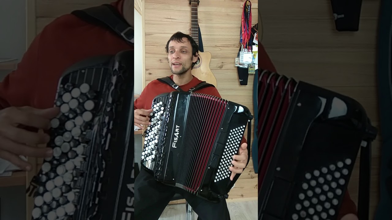 Serge Gainsbourg - Accordéon. Cover