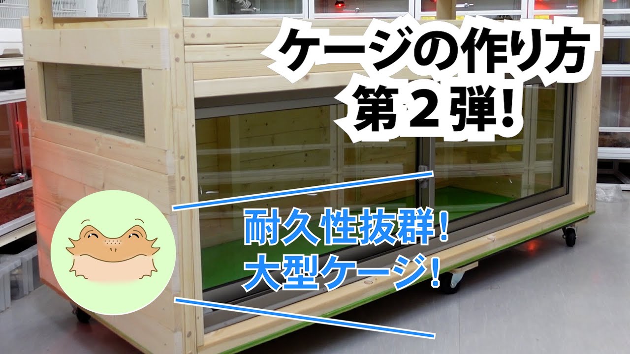 【ハチクラ店内のケージの作り方】第２弾！～大型ケージ～