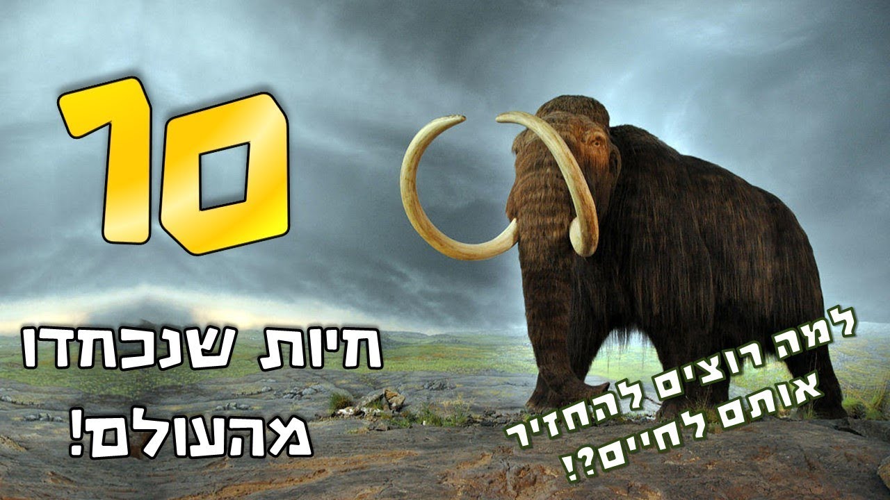 10 החיות שנכחדו מהעולם ! למה רוצים להחזיר אותם לחיים ?! | קצת מידע
