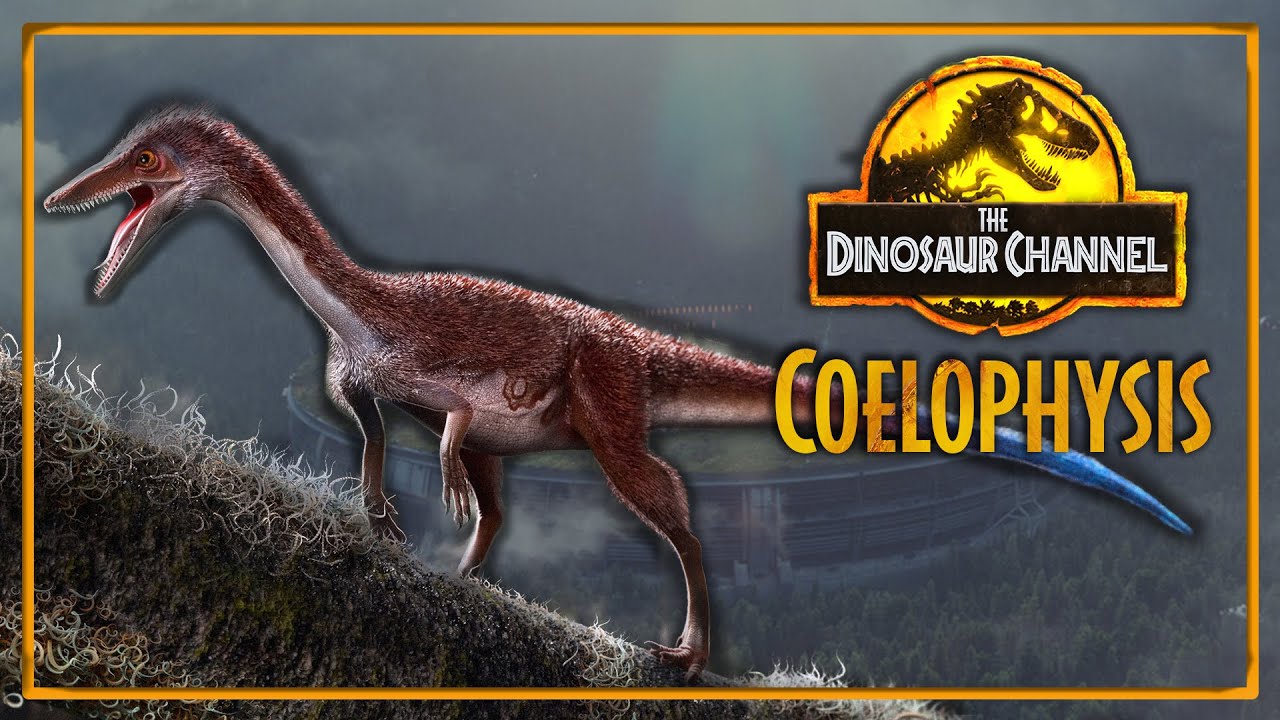 Что такое целофизис? &mdash; The Dinosaur Channel