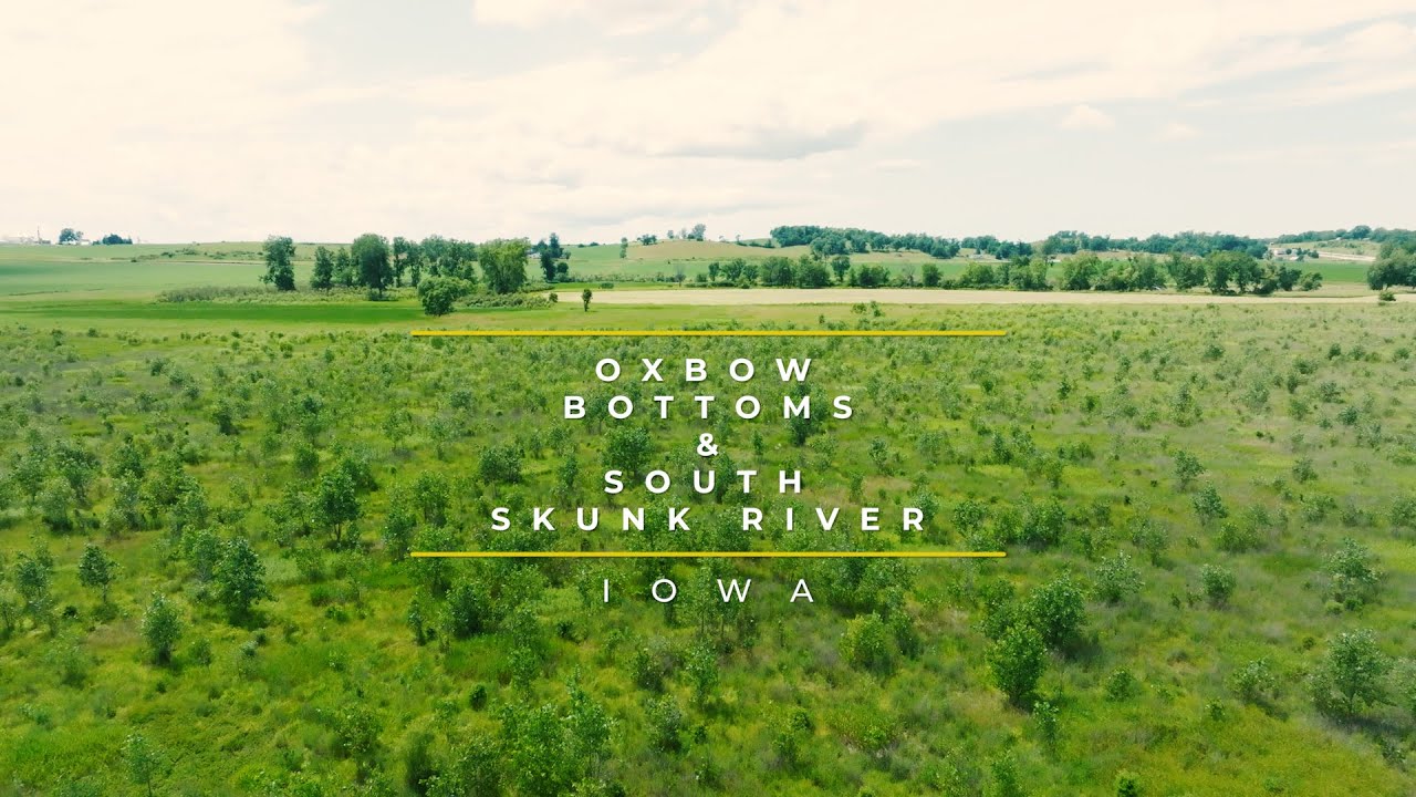 Habitat & Access: Iowa's Oxbow Bottoms WMA & South Skunk River Wildlife Area addition