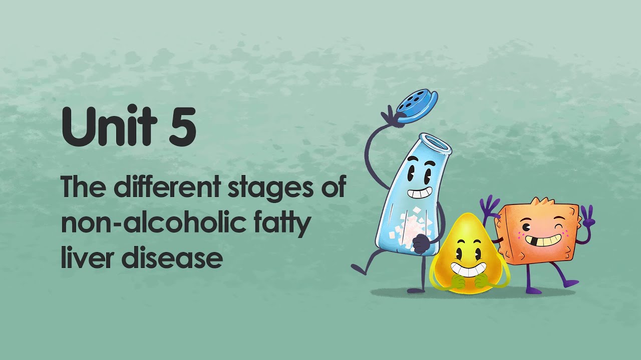 The different stages of non-alcoholic fatty liver disease | iMooX.at