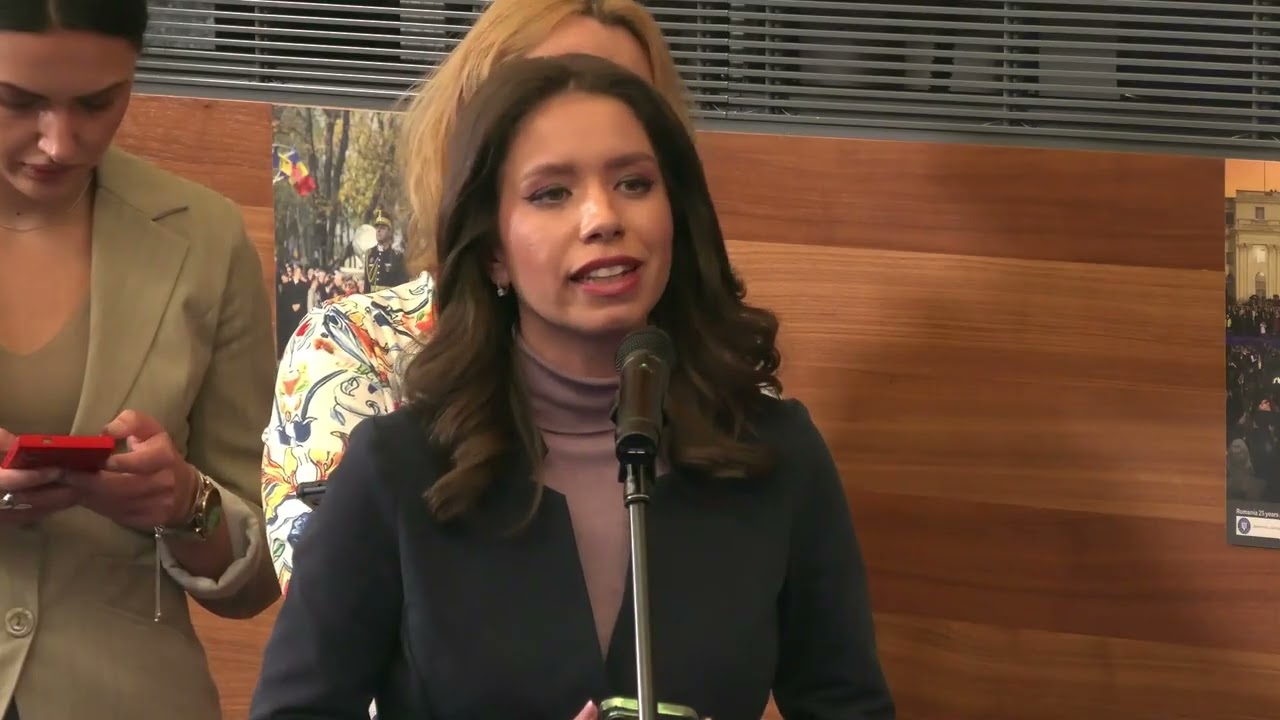 Briefing de presă susținut de Andrei Țărnea cu privire la situația din Orientul Mijlociu