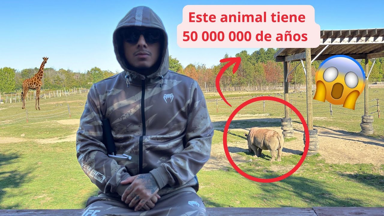 Visitando animales históricos en Canadá 🇨🇦 