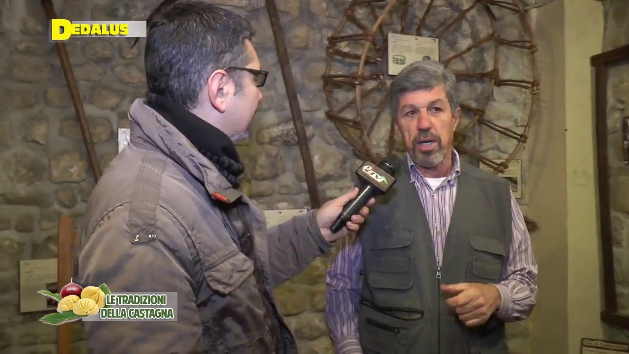 ZOCCA SPECIALE TRADIZIONI DELLA CASTAGNA 1 parte