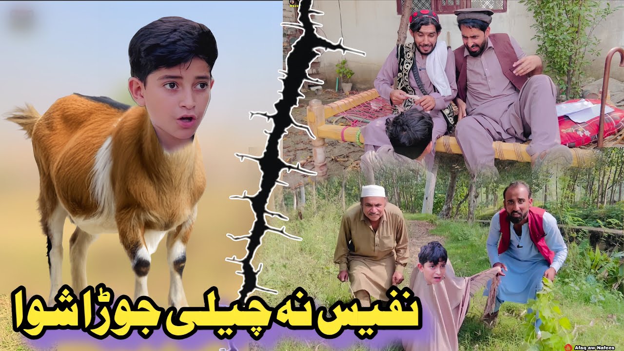 Nafees Na Chelay jura Shwa | Pashto Funny Video | Pashto Drama 2025