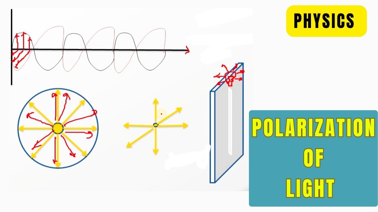 Polarization Of Light | Physics 