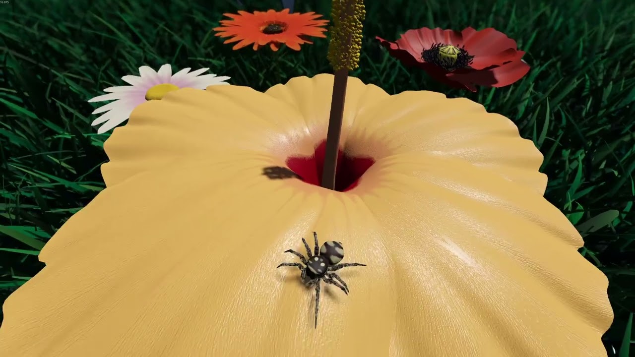 A little Jumpingspider's Garden Adventure (Day 1+2) Playtest