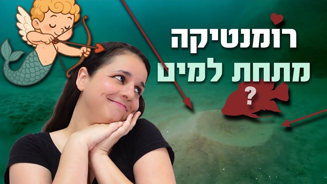 אתם לא מבינים כמה הדג הזה רומנטי