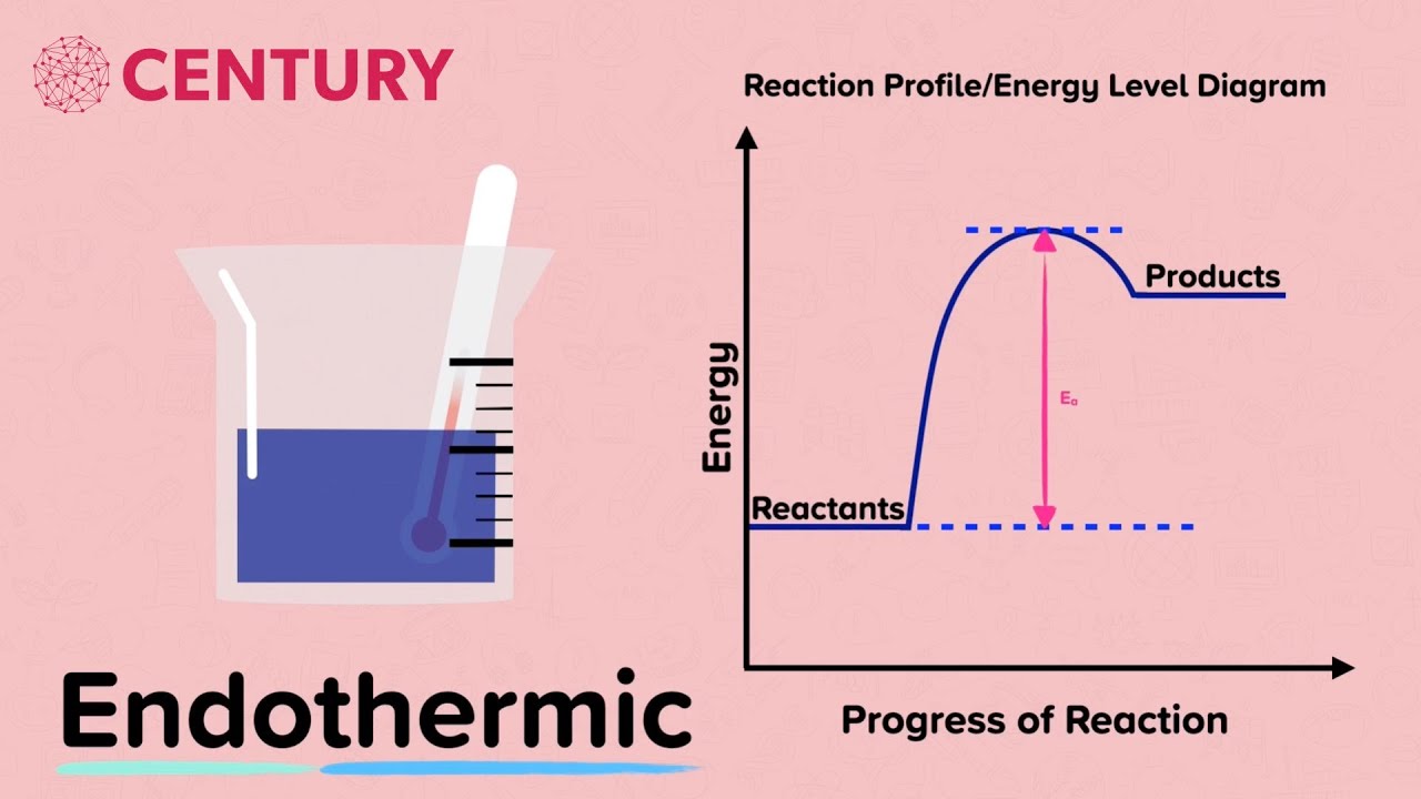 Exothermic & Endothermic Reactions: Drawing | Chemistry