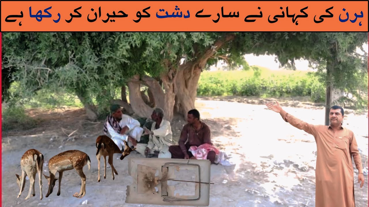 Ask O Lal Bakhsh | Balochi Village Life 🔥Kech e Dastan