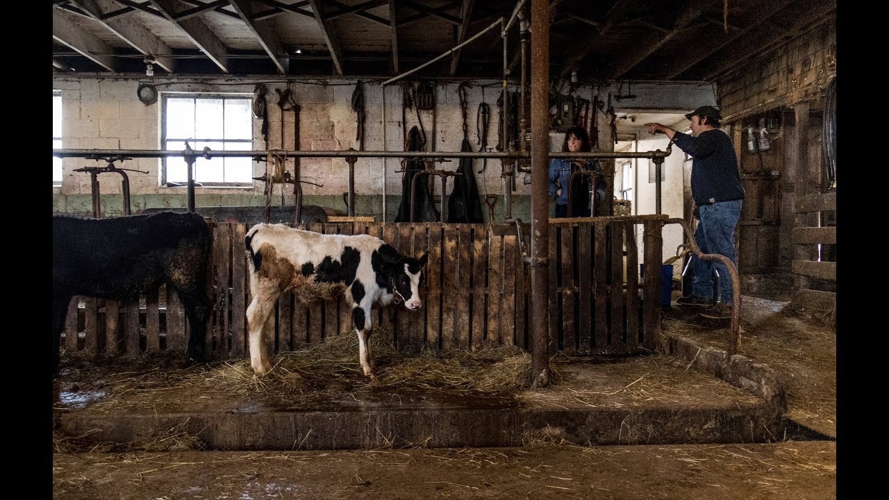 How Trump’s trade wars are affecting American farmers