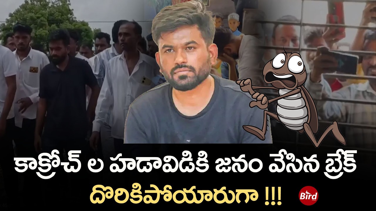 Cockroach Janatha Party : కాక్రోచ్ ల హడావిడికి జనం వేసిన బ్రేక్  దొరికిపోయారుగా ! Bird Media