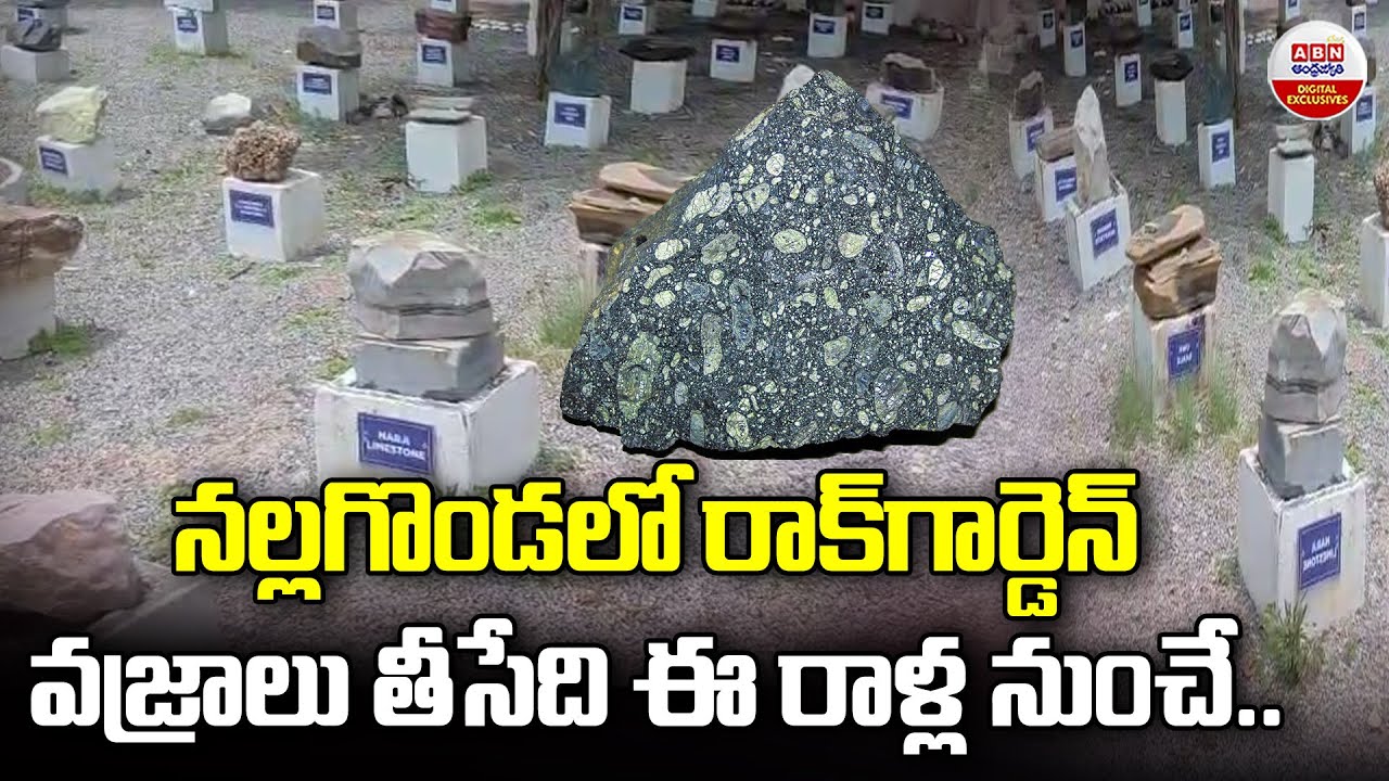 నల్లగొండలో రాక్ గార్డెన్..| Rare Rock Garden at MGU Nalgonda Fascinates Students and Visitors | ABN