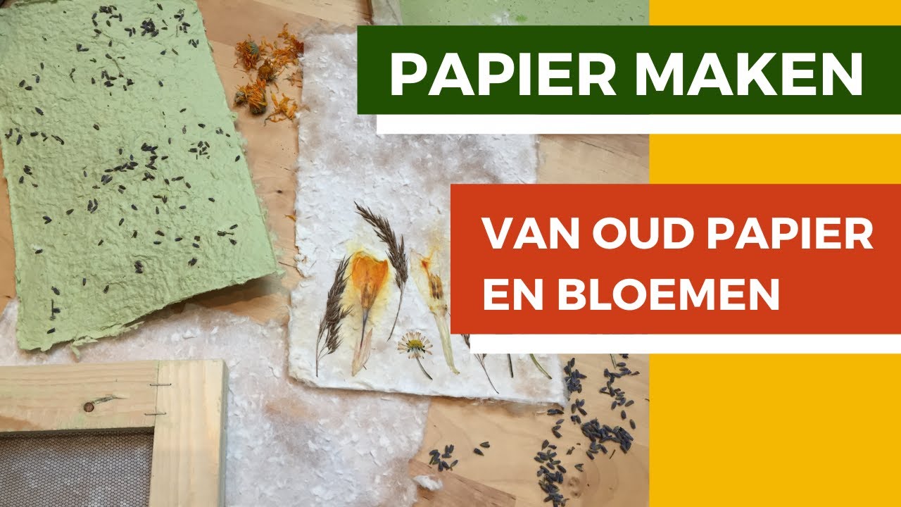 Papier maken van oud papier en gedroogde bloemen | Hoe je papier moet scheppen met een schepraam