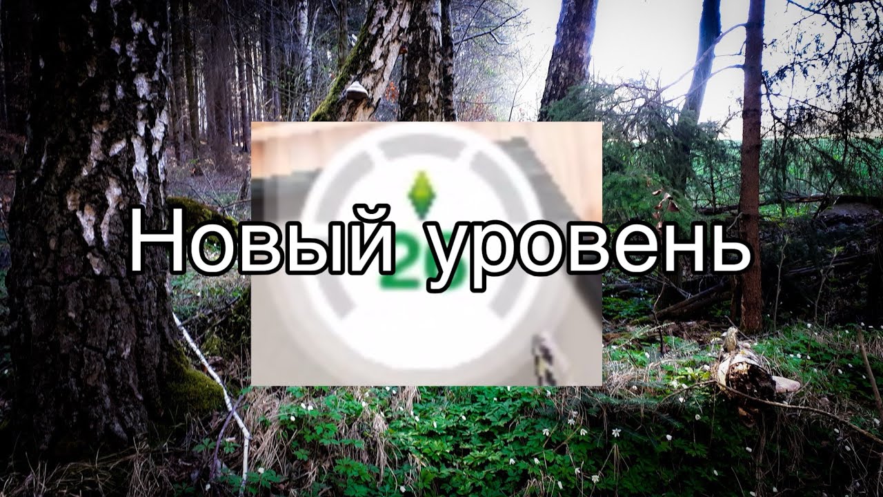 Sims FREEPLAY/ Прошли на новый уровень 