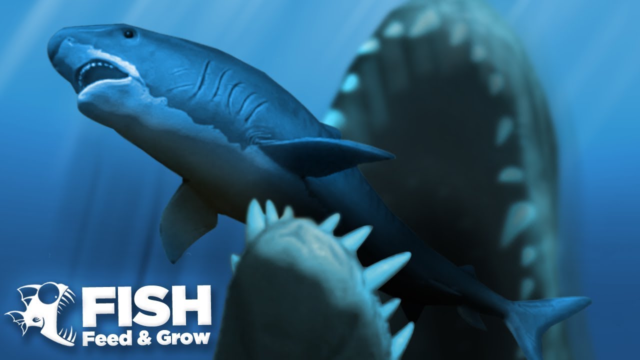 It Didn't Stand A Chance! - Fish Feed Grow