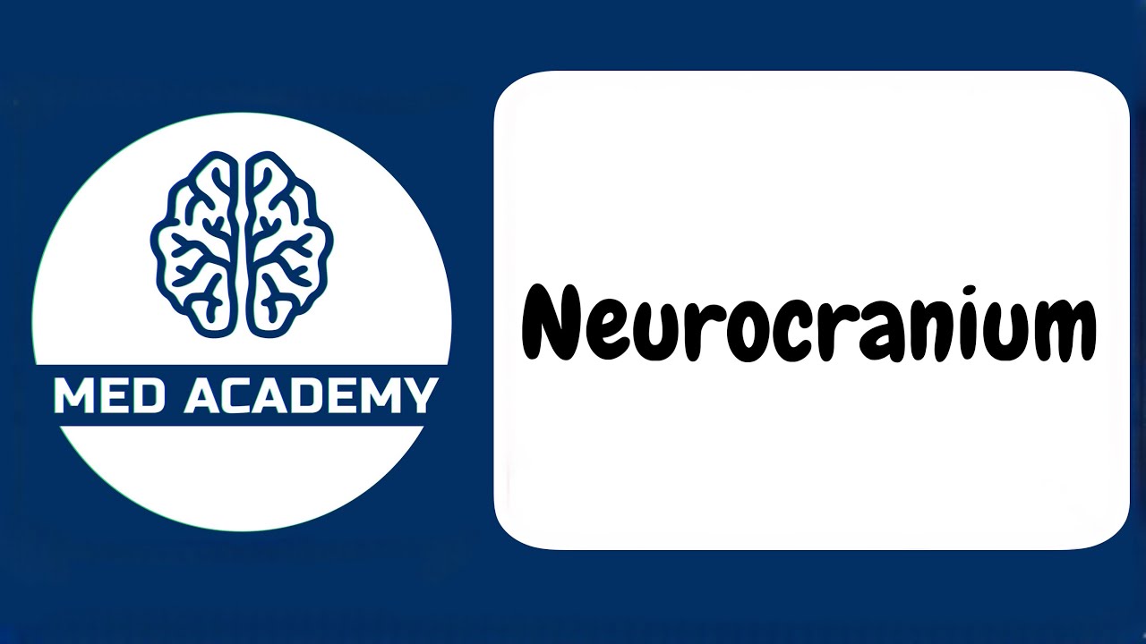 Bosh skeleti. Neurocranium
