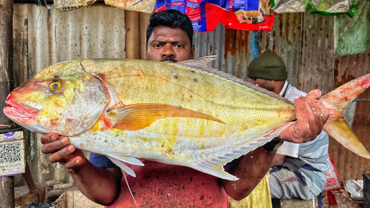 KASIMEDU 🔥 SPEED SELVAM | BIG SIZE YELLOW TREVALLY FISH CUTTING VIDEO | 4K VIDEO | KM FISH CUTTING 