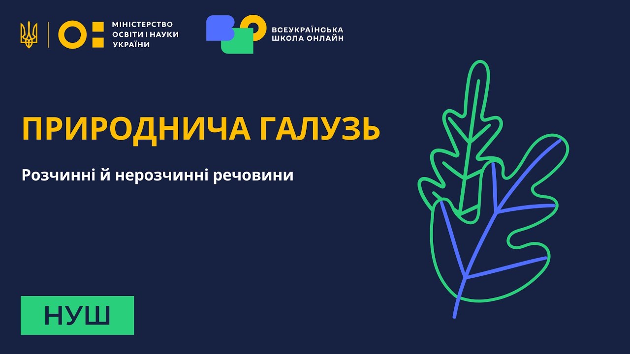 Природнича галузь. Розчинні й нерозчинні речовини