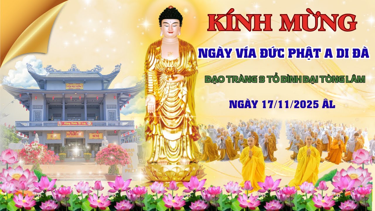 [🔴] TRỰC TIẾP: CỘNG TU NGÀY VÍA ĐỨC PHẬT A DI ĐÀ TẠI NPĐ ĐẠI TÒNG LÂM ĐT3 TỐI 5/1/2026 (17/11/ÂL)