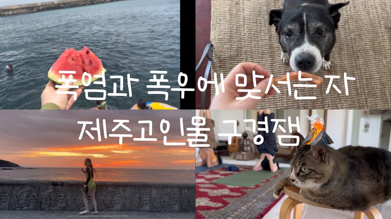 폭염에 폭우받고 바다수영 더블로 가🏊🏻‍♀️🏝| 장마도 품고가는 제주고인물🙆🏻‍♀️🏃🏻‍♀️| 힘든일이있지만 럭키비키잖아❣️| 오름나그네| 중찬|