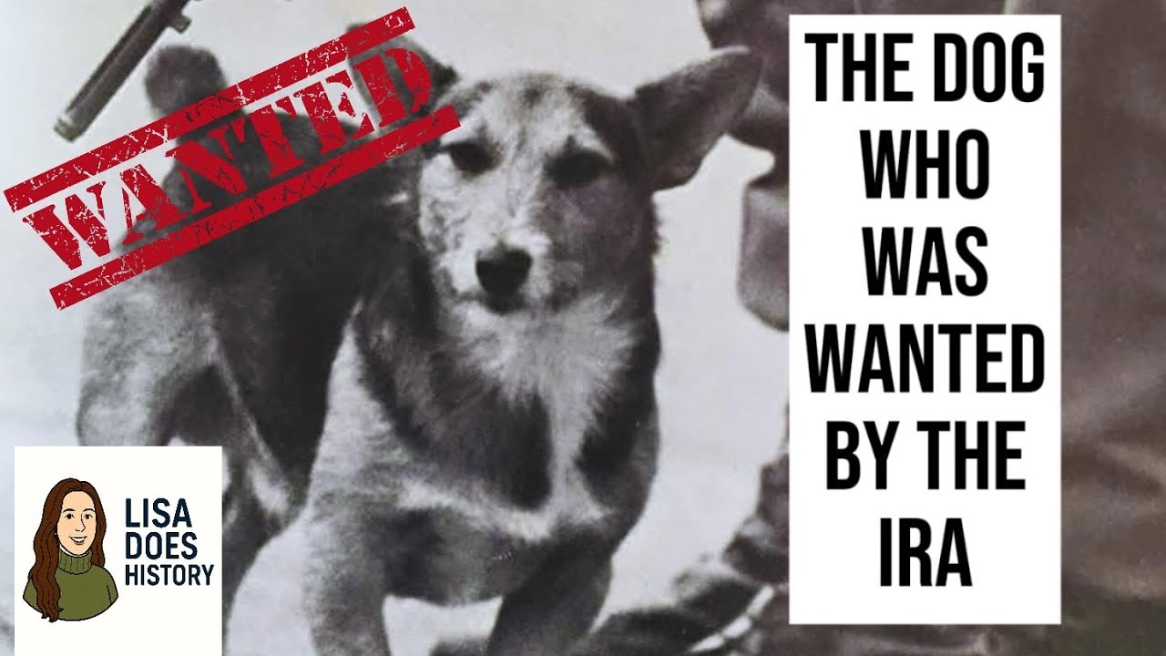 THE DOG WHO WAS WANTED BY THE IRA!