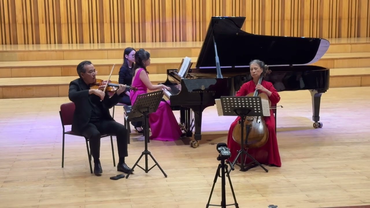 J.Brahms Trio no.1 mov.1 Song Hong Trio