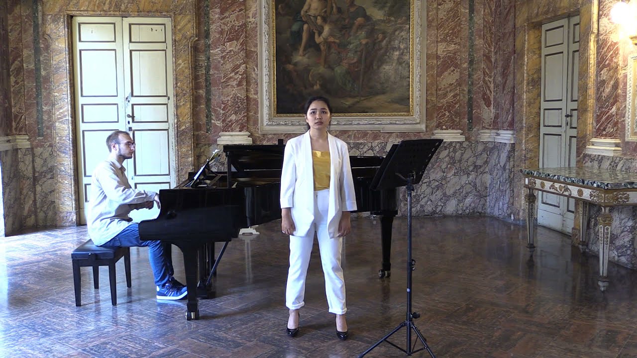 Dvorak - Song to the moon (Rusalka)