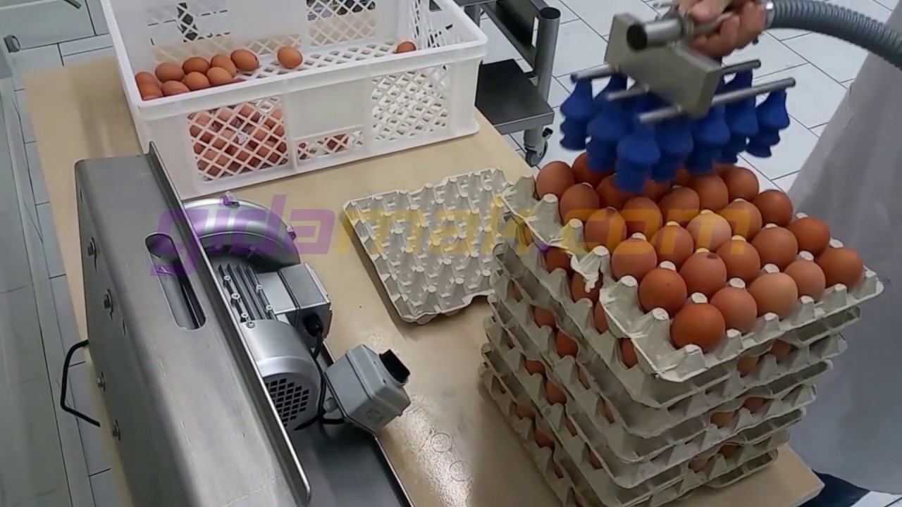 Yumurta Taşıma Makinesi Vakumlu VEL-15 - Egg Transporting Machine
