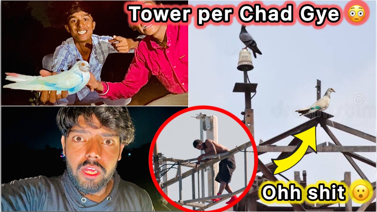 Tower se pakda bazi wala kabutar 🤑 || Raat ko Pakdne gye 😮