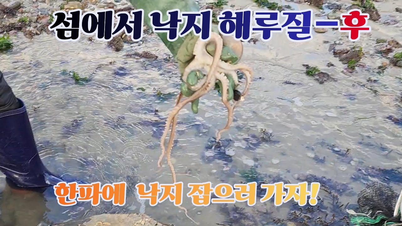 섬에서 낙지 해루질_후
