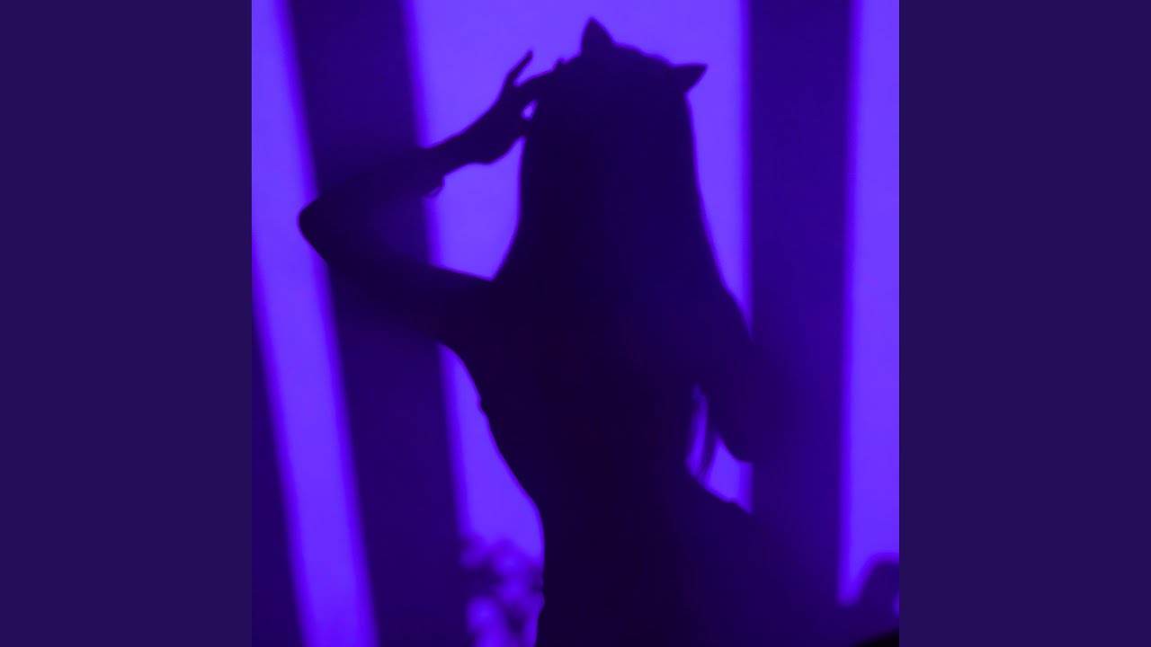 Privacy (V.2)