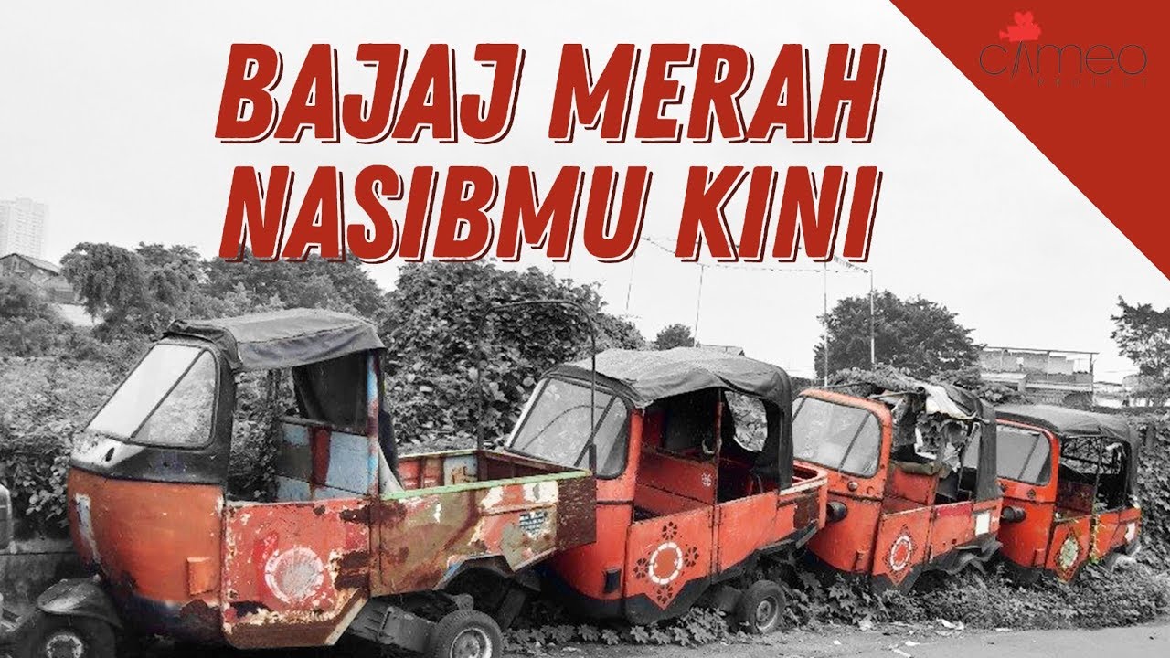 BAJAJ MERAH YANG (HAMPIR) PUNAH