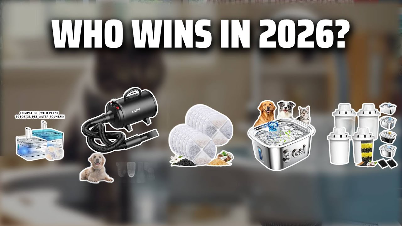 The Top 5 Best Pet Water Fountain in 2026 - Must Watch Before Buying!
