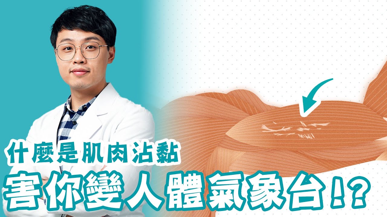 為何會人體氣象台？到底什麼是肌肉沾黏！？【從肌肉出發的痠痛自救課-課程試看】