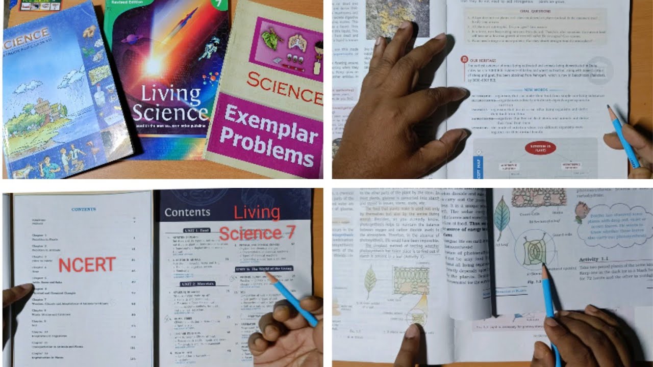 Living Science 7 (Ratna Sagar) | Book OVERVIEW