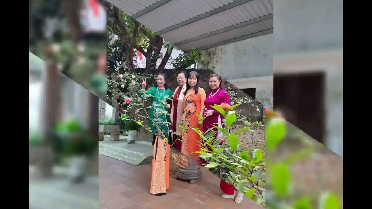 Xuân 2026 của Hoa Đào 