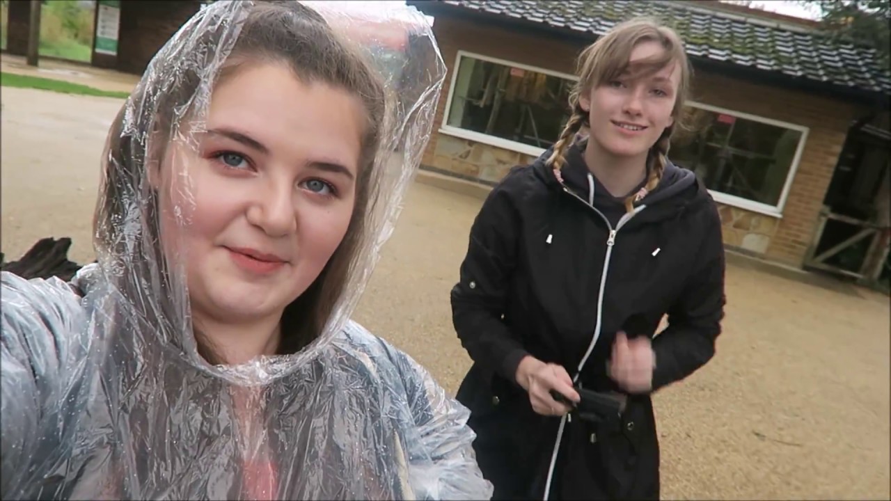 BIRTHDAY WITH PENGUINS