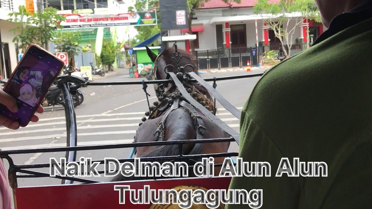 Naik Delman atau dokar di alun alun tulungagung (Edukasi anak Mengenal transportasi)