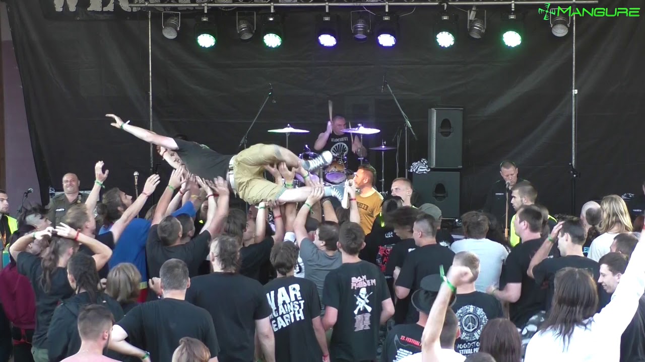 Włochaty - koncert