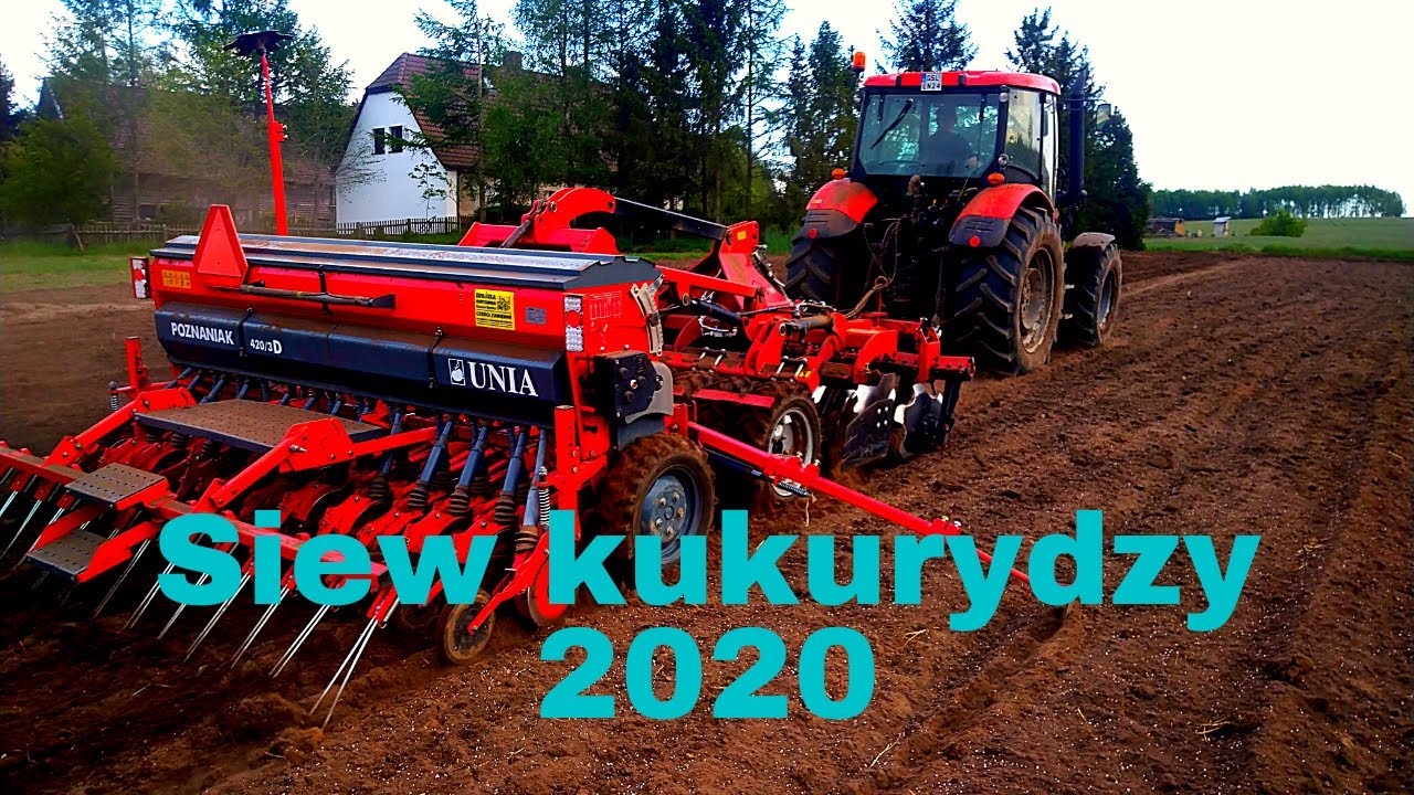 Vlog 8.Siew kukurydzy zwykłym siewnikiem.Unia Poznaniak,Rolex Taurus,Zetor Proxima 90 plus.