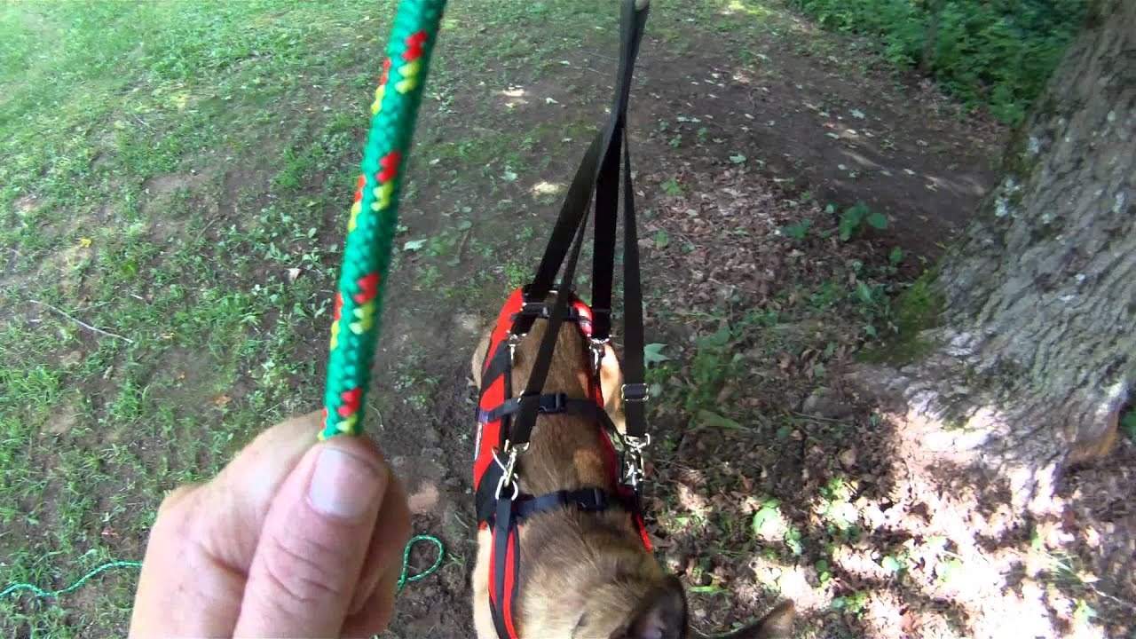 Grief  - Rappel Harness Training