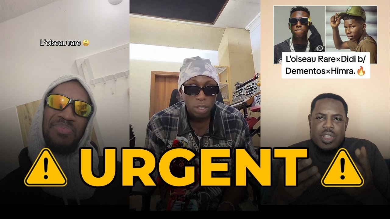 [⚠️URGENT] L'oiseau rare !ntens!fie Sa sortie sur Himra 😂⚔️🔥🙌🏿
