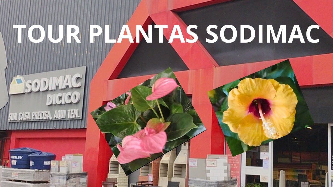 PLANTAS NO SODIMAC!